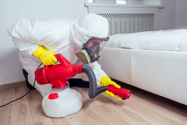 Pest Prevention Services in Apollo Beach, FL