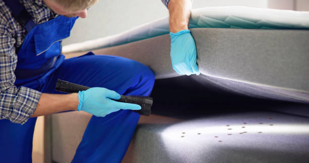 Best Bed Bug Extermination  in Apollo Beach, FL