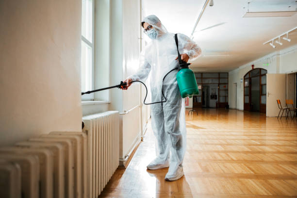 Best Pest Removal Services  in Apollo Beach, FL